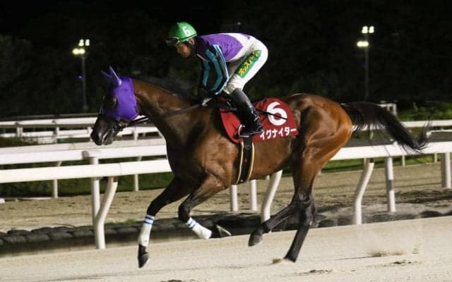 【園田チャレンジC】イグナイターが休養明けV…田中学「ハナへ行こうと決めていた」