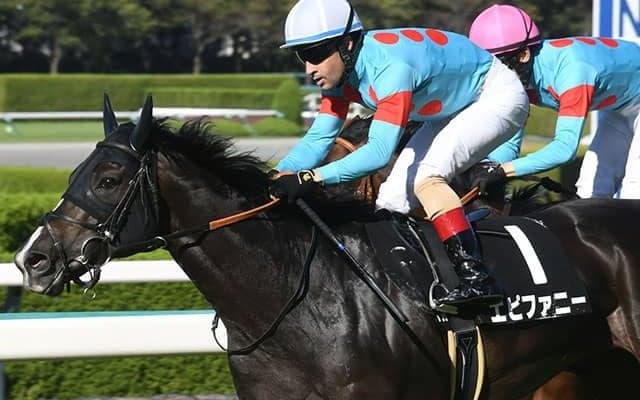 【ケフェウスS結果】エピファニーがタイレコードでオープン初勝利！