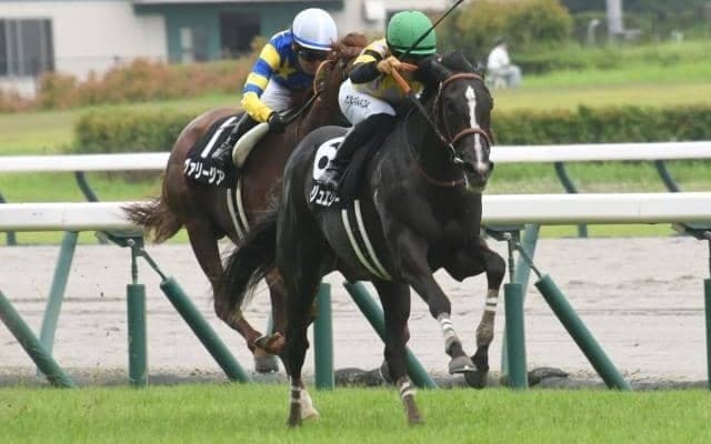 阪神芝はエピファネイア産駒が好調 ブライトジュエリーで好配狙いだ