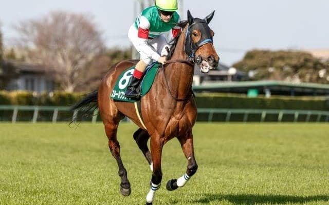 凱旋門賞に出走予定のスルーセブンシーズがフランスに到着