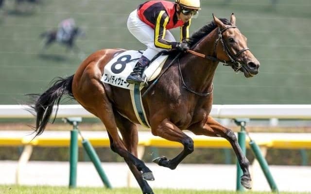 【今日の注目ポイント】阪神で秋華賞TRのローズS、ラジオ日本賞でハピ復帰など