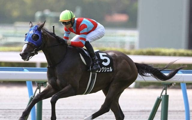 ＧＩ秋華賞トライアルのローズＳは人気薄の条件馬に要注意　穴党記者が抜擢する「シンデレラ候補」２頭