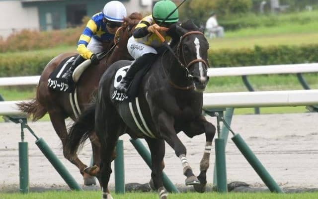 【ローズS予想】4年ぶりの阪神開催 “瞬発力”が勝負を分けるレース 