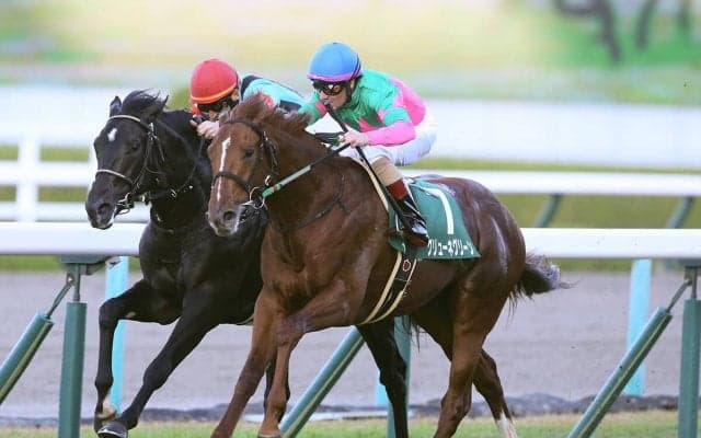 セントライト記念は本当にソールオリエンスでテッパンか？　舞台設定を味方にする伏兵２頭の大駆けも!?