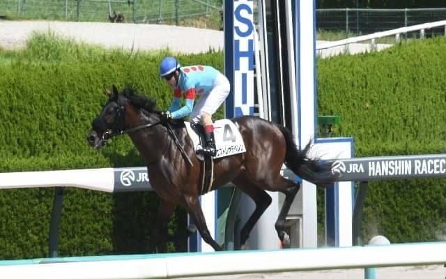 【阪神4R新馬戦結果】エピファネイア産駒のエストレヤデベレンが圧勝！