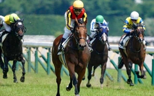 【ローズS・馬体重】ブレイディヴェーグは460kg(-6)、ソーダズリングは474kg(+4)