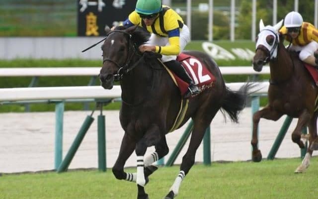 【ローズS結果】マスクトディーヴァが強烈末脚で快勝 JRAレコードを0.8秒更新