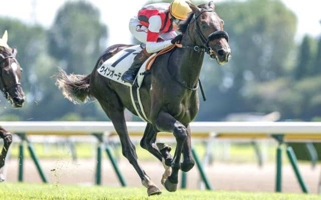 セントライト記念は隠れた実力馬を狙う ソールオリエンスに肉薄しても不思議なし