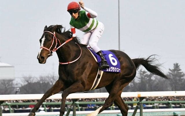 名牝リスグラシューの初子、シュヴェルトリリエのデビュー間近「いいフットワーク」と陣営も確かな手応え