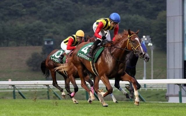 【盛岡・ジュニアグランプリ】初めての芝で能力全開！トワイライトウェイが完勝