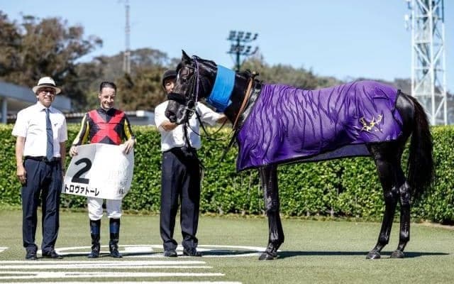 【中山6R新馬戦結果】レイデオロ産駒のトロヴァトーレが差し切りV！