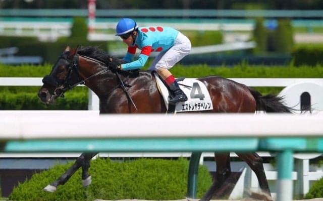 【新馬/阪神4R】エストレヤデベレンが7馬身差圧勝