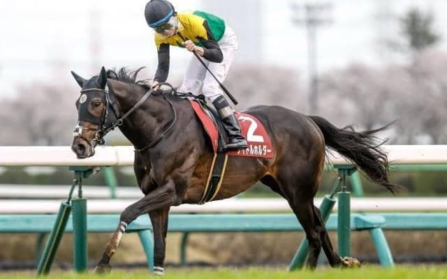 オールカマーでタイトルホルダーが再起を期す 菊花賞TRの神戸新聞杯/今週の競馬界の見どころ