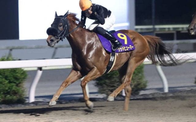 【高知・珊瑚冠賞】グッドヒューマーが重賞初制覇…宮川「イメージ通りのレース出来た」