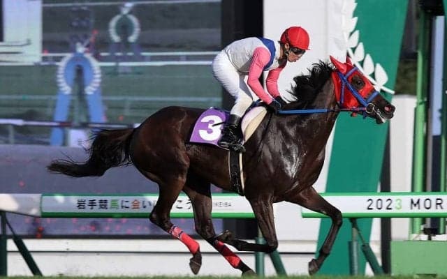 【盛岡・はまぎく賞】ダットが10馬身差圧勝…高橋悠「芝適性も凄く高い」