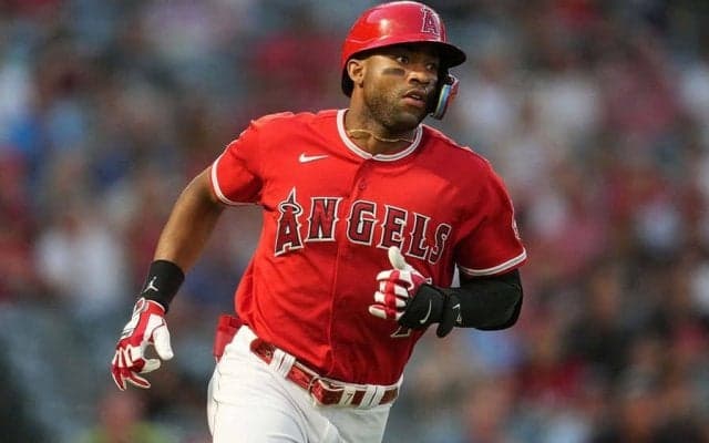 【MLB】エンゼルス、24歳アデルが2か月ぶり復帰　21歳有望株は靱帯断裂で今季終了