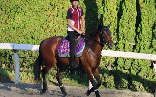 リバティアイランドなど、先週の入厩情報/栗東トレセンニュース