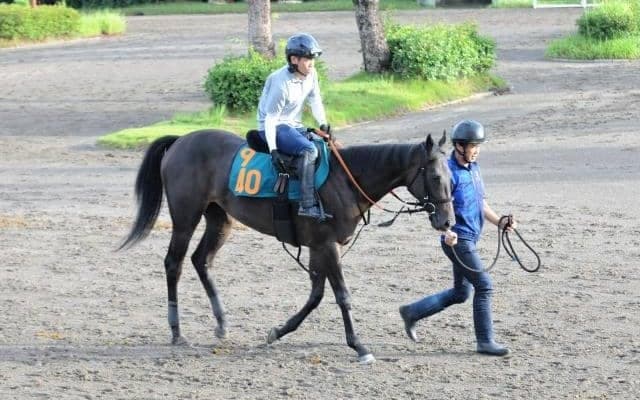 桜花賞2着馬コナコーストの妹 23日の初陣に向け追い切りこなす/関東馬メイクデビュー情報