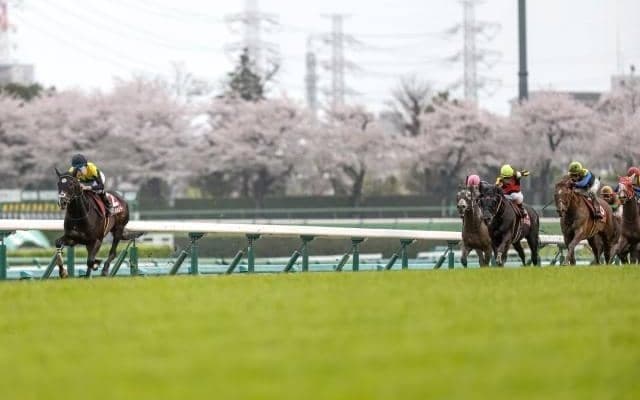 天皇賞(春)で競走中止のタイトルホルダーが復帰 オールカマーで復活アピールする圧勝劇を