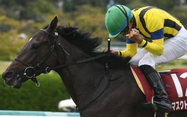 驚異的レコードで秋華賞の切符を獲得 「ルーラーシップ×ディープインパクト」の組み合わせから新たな活躍馬誕生