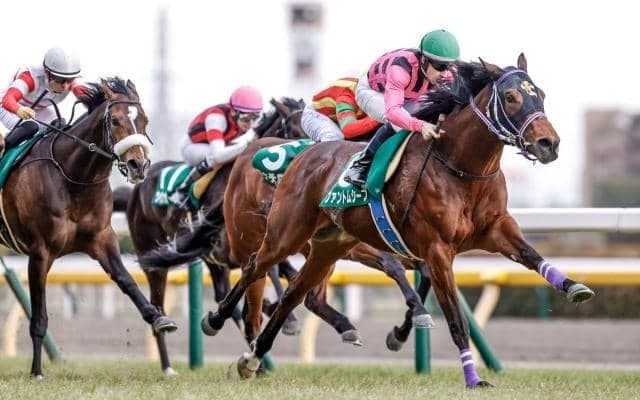 武豊騎手が神戸新聞杯の13年ぶり4勝目へ 皐月賞3着の実績馬と参戦