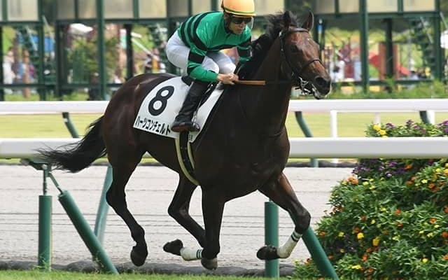 【神戸新聞杯想定騎手】ハーツコンチェルトは松山弘平騎手、ファントムシーフは武豊騎手