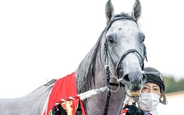 安田記念4着馬が再び中距離路線へ オールカマーで2つ目のタイトル狙う