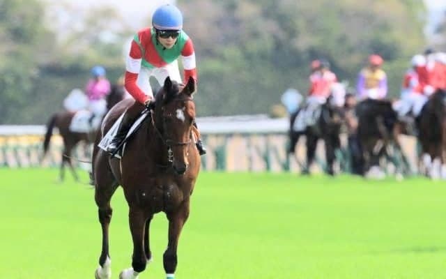 2着7回のハルオーブ待望の初白星なるか SNSでも応援の声多数「はるお頑張れ」