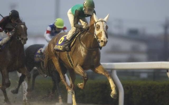 【シリウスS想定】昨年の浦和記念覇者クリノドラゴン、JDDでミックファイアの2着だったキリンジなど15頭