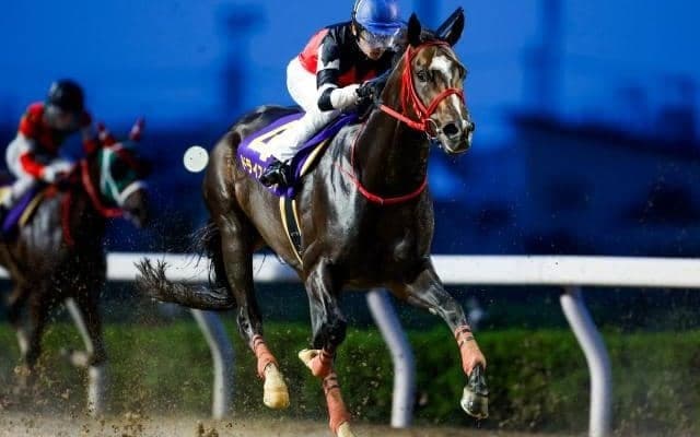 【浦和・オーバルスプリント結果】ドライスタウトが全日本2歳優駿以来の重賞2勝目を挙げる