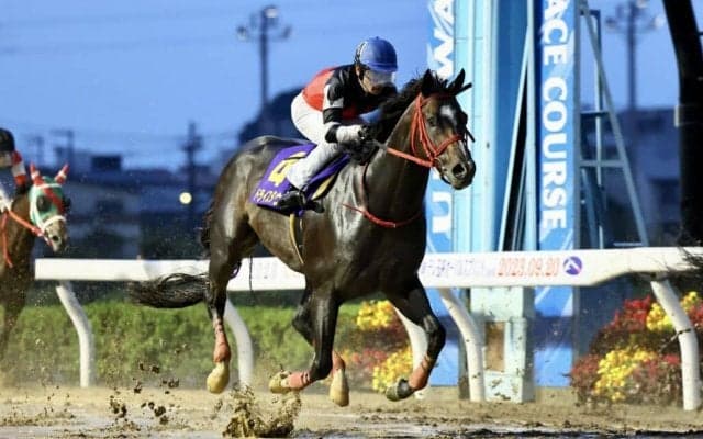 【オーバルスプリント】ドライスタウトが力でねじ伏せる…重賞2勝目