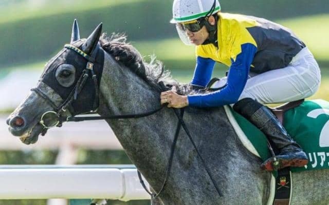 クロフネ産駒が歴代1位タイの19年連続JRA重賞制覇へ マリアエレーナがオールカマーに挑む