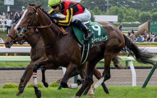 ハービンジャー産駒の“大器” 重賞連勝でのオールカマー制覇なるか