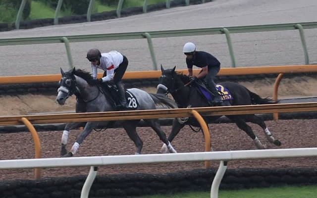 ナムラクレア、スプリンターズS1週前追い切り速報/栗東トレセンニュース