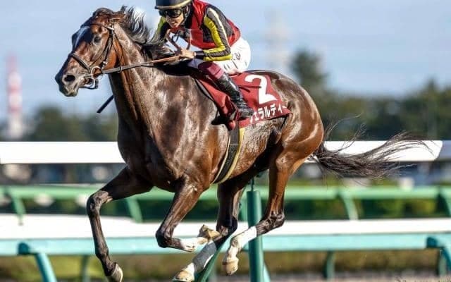 【オールカマー出走馬・騎手確定】ジェラルディーナ＆団野大成騎手、タイトルホルダー＆横山和生騎手など15頭