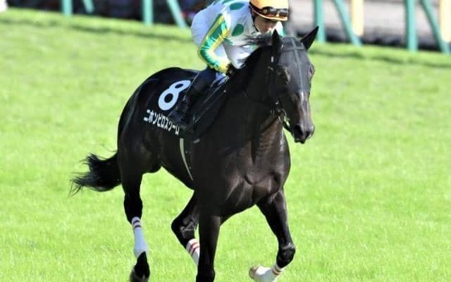 大橋勇樹調教師への臨時貸付期間満了にともなう管理馬の転厩