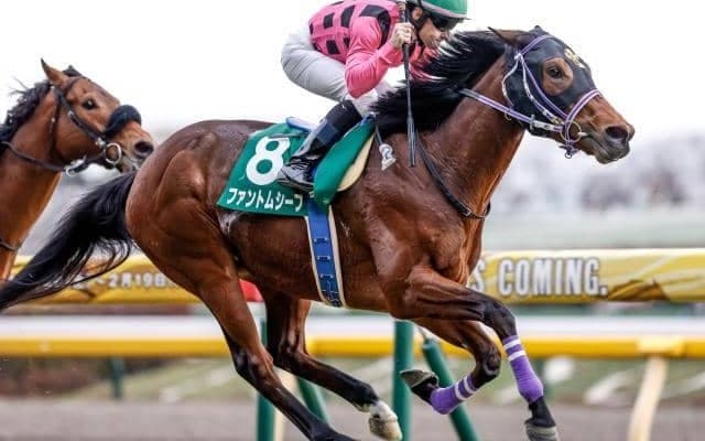 【神戸新聞杯出走馬・騎手確定】ハーツコンチェルト＆松山弘平騎手、ファントムシーフ＆武豊騎手など13頭