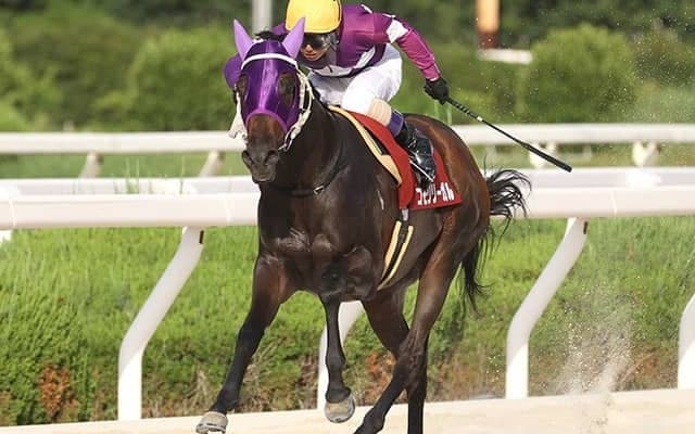 【園田・園田プリンセスC結果】コモリリーガルが3連勝で重賞初制覇！