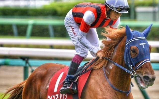 21年オールカマー覇者が今年も勝利狙う 香港ヴァーズに続く白星へ