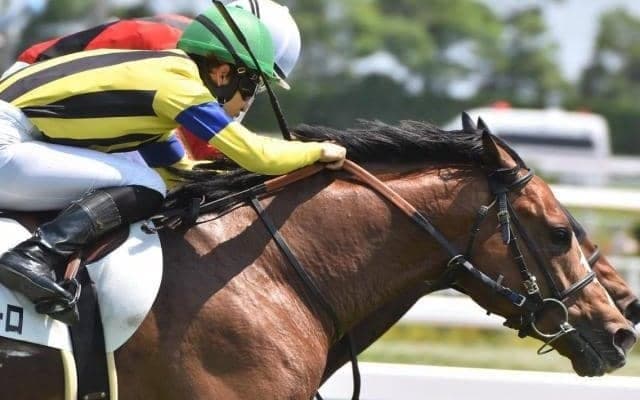 オールカマーはディープインパクト産駒と相性抜群 今年は重賞初V狙う4歳馬に期待