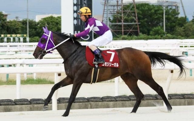 【園田プリンセスC】ホッカイドウ所属コモリリーガルが3連勝で重賞初制覇…下原「手応えが抜群でした」