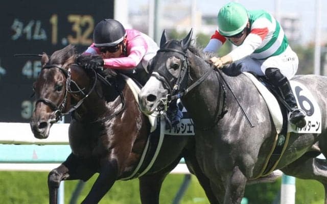 【新馬/阪神5R】レイデオロ産駒 デルシエロがデビューV