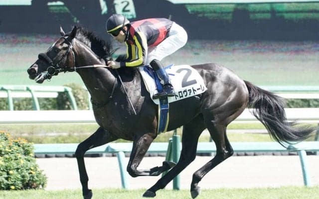 【新馬/中山6R】レイデオロ産駒 トロヴァトーレがデビューV