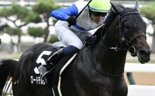 【神戸新聞杯】3年ぶりの無敗馬Vへ ロードデルレイが重賞初挑戦初制覇なるか