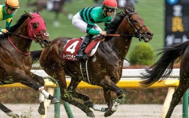 【神戸新聞杯枠順確定】ハーツコンチェルトは8枠13番、ファントムシーフは5枠7番