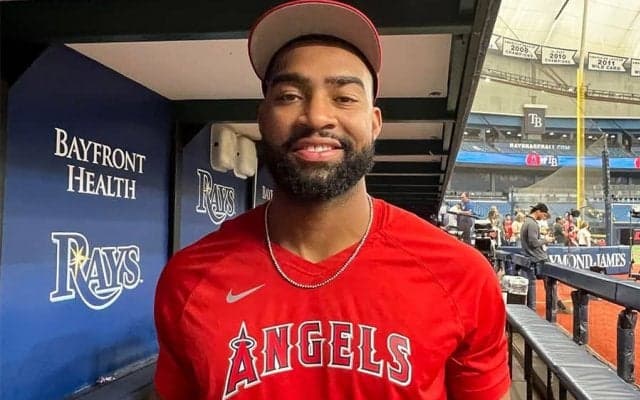 【MLB】大谷翔平に“740億円の価値ない”　炎上司会者に同僚アデル猛反論「球界を変えた男だ」
