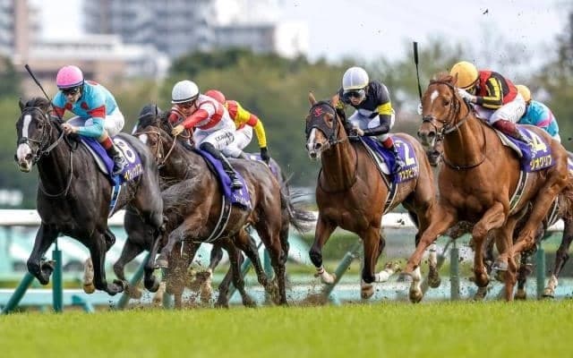 イクイノックス破ったクラシックホースが地方参戦 南部杯で皐月賞以来の白星狙う