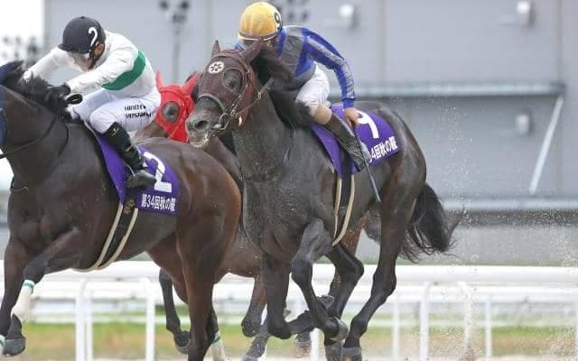 【名古屋・秋の鞍結果】ナイトオブバンドが差し切り重賞初V！