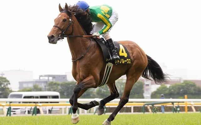 2億7000万円のディープインパクト産駒がキャリア初のダート挑戦 菊花賞2着以来の京都で復活なるか