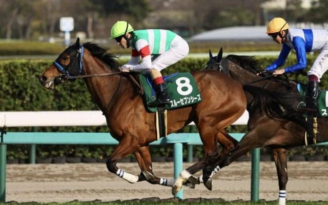 【凱旋門賞】尾関師「良い状態で来ることが出来ている」スルーセブンシーズ近況